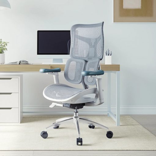 Doro S100 Ergonomic Office Chair with Dual Dynamic Lumbar Support - Image 3